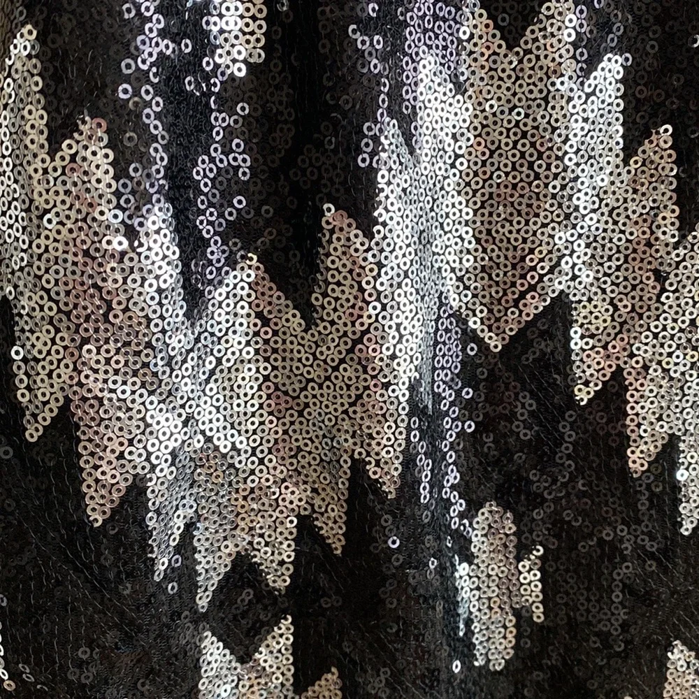 1920’s Style Flapper Sequin Dress - Picture 5 of 12